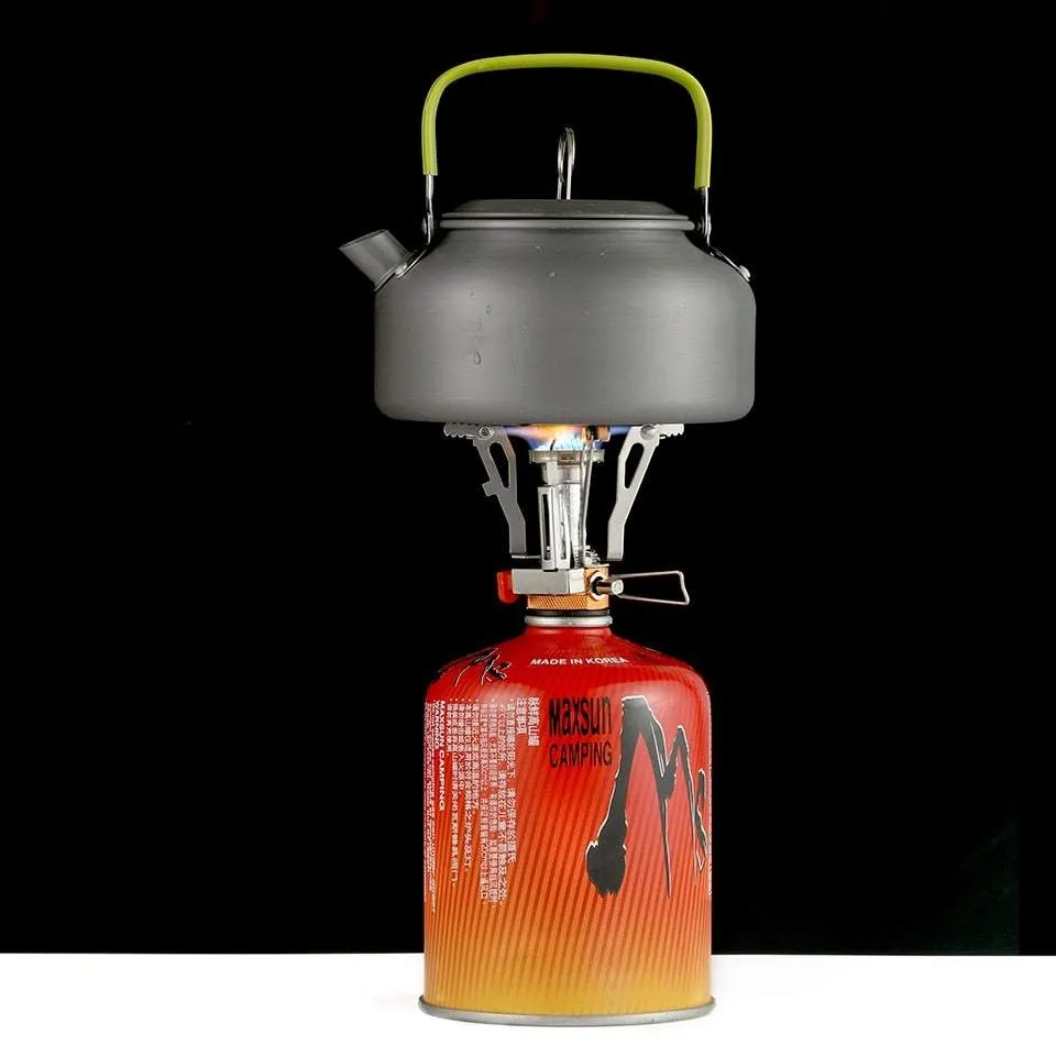 Portable Gas Camping Stove